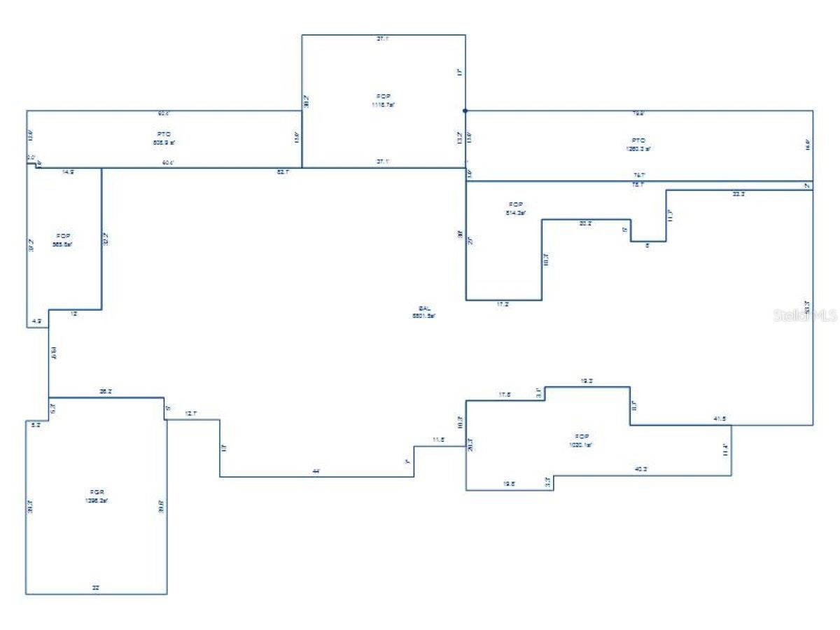 1029 Van Dyke Road Lutz FL 33548 - LAKE REINHEIMER TB8479611 image8