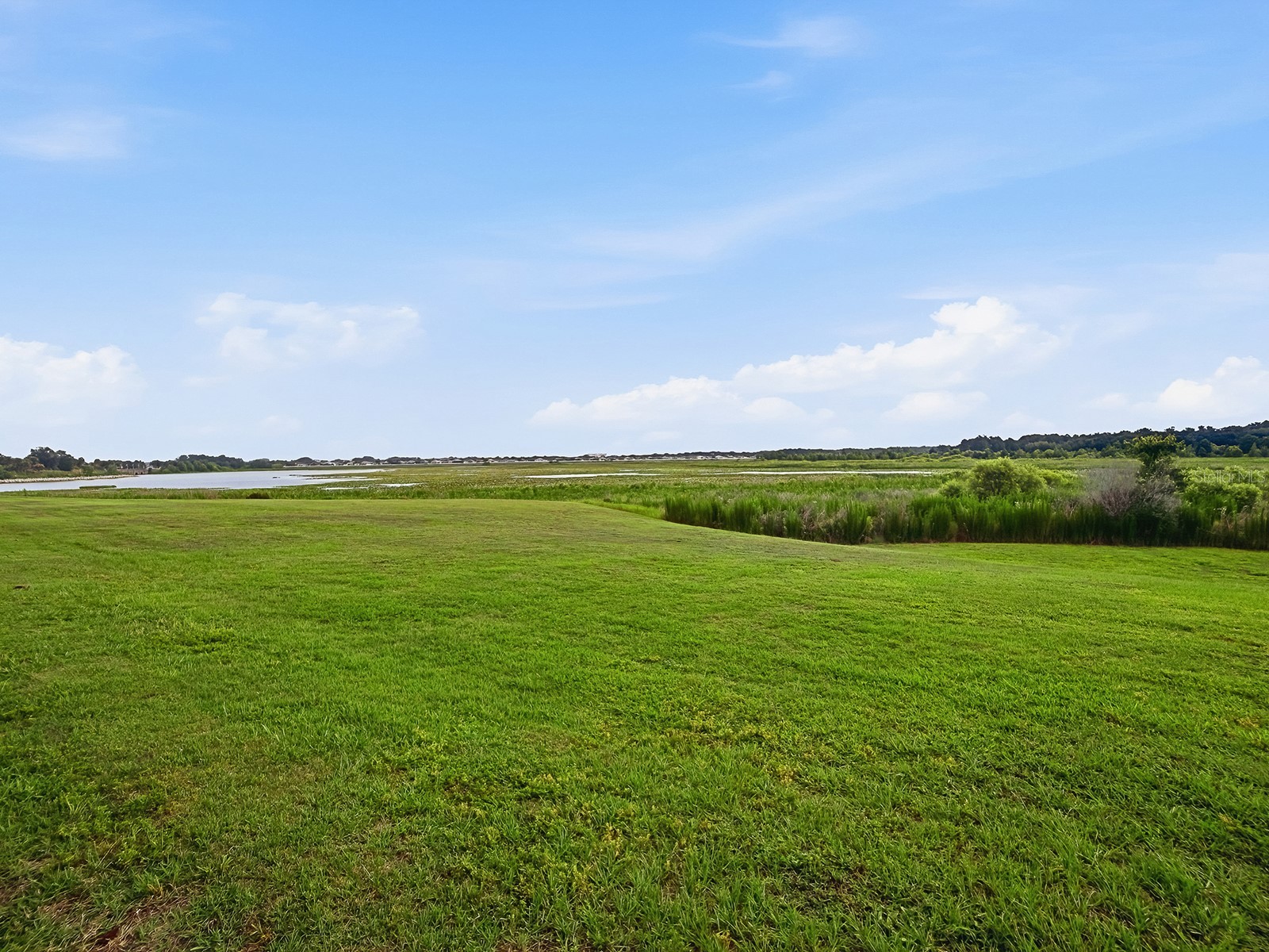 1029 Vance Trail The Villages FL 32162 G5113779 image2