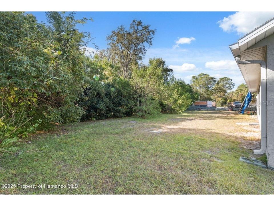 10290 Adler Street Spring Hill FL 34608 W7881505 image33