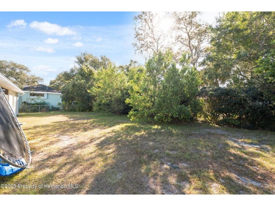 10290 Adler Street Spring Hill FL 34608 W7881505 image34