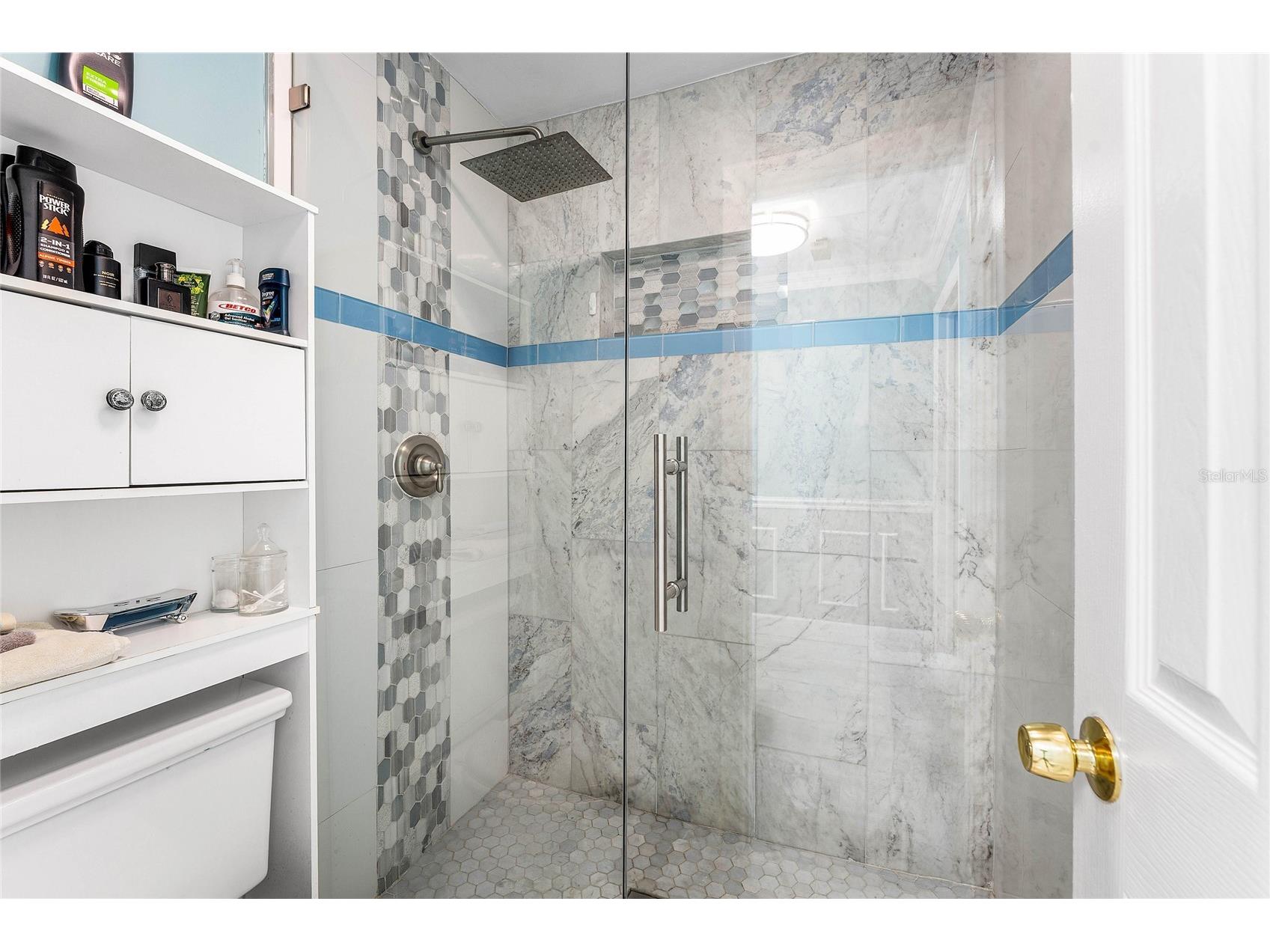 10290 Carmen Lane Royal Palm Beach FL 33411 OM716513 image23