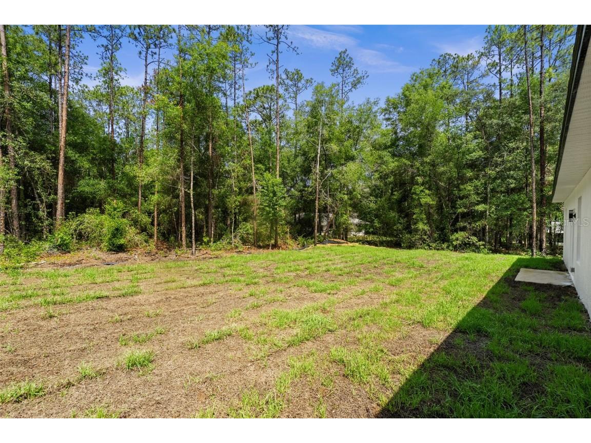 10290 N Biscayne Drive Citrus Springs FL 34434 O6316724 image25