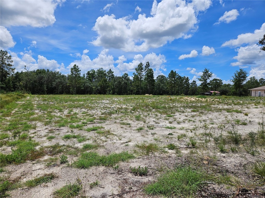 10290 NE 58th Lane Bronson FL 32621 OM707566 image2