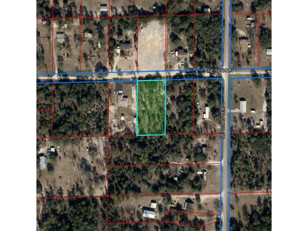 10290 NE 58th Lane Bronson FL 32621 OM707566 image3