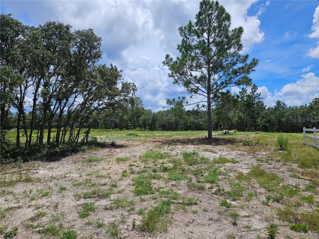 10290 NE 58th Lane Bronson FL 32621 OM707566 image4