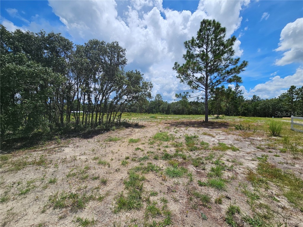 10290 NE 58th Lane Bronson FL 32621 OM707566 image5