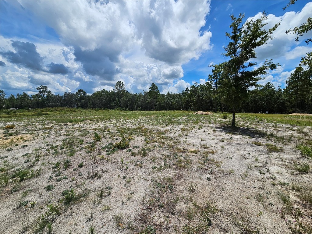10290 NE 58th Lane Bronson FL 32621 OM707566 image6