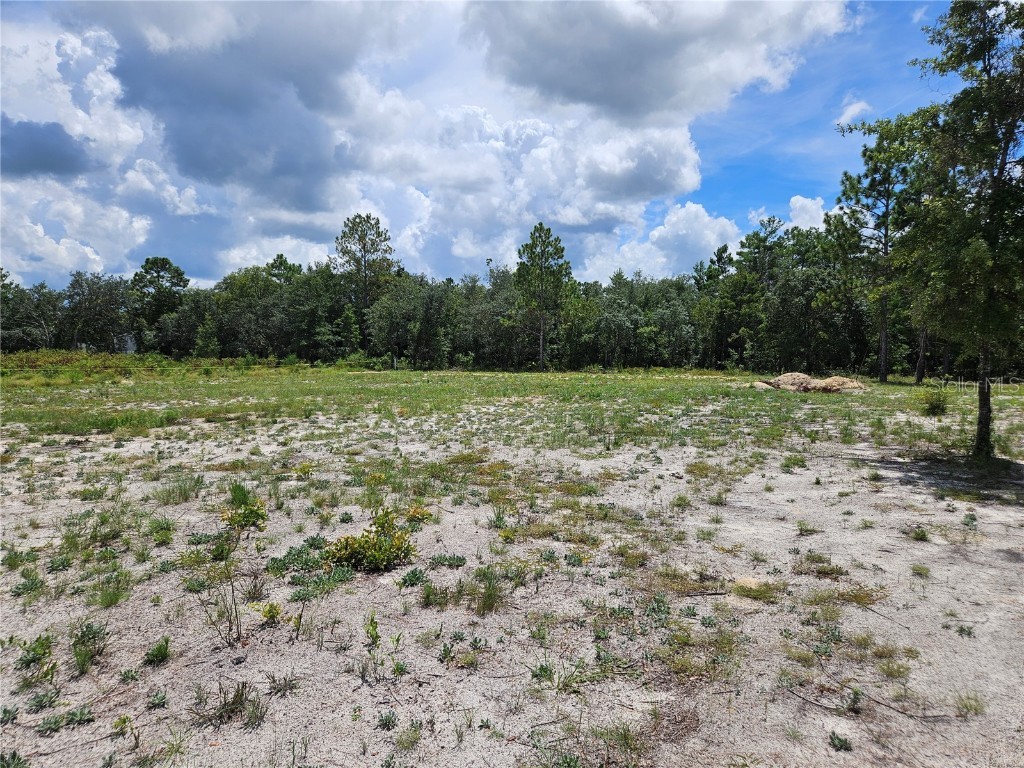 10290 NE 58th Lane Bronson FL 32621 OM707566 image7