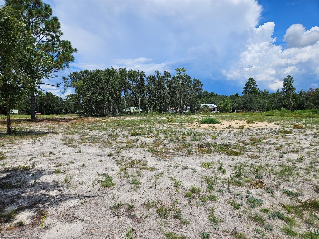 10290 NE 58th Lane Bronson FL 32621 OM707566 image8