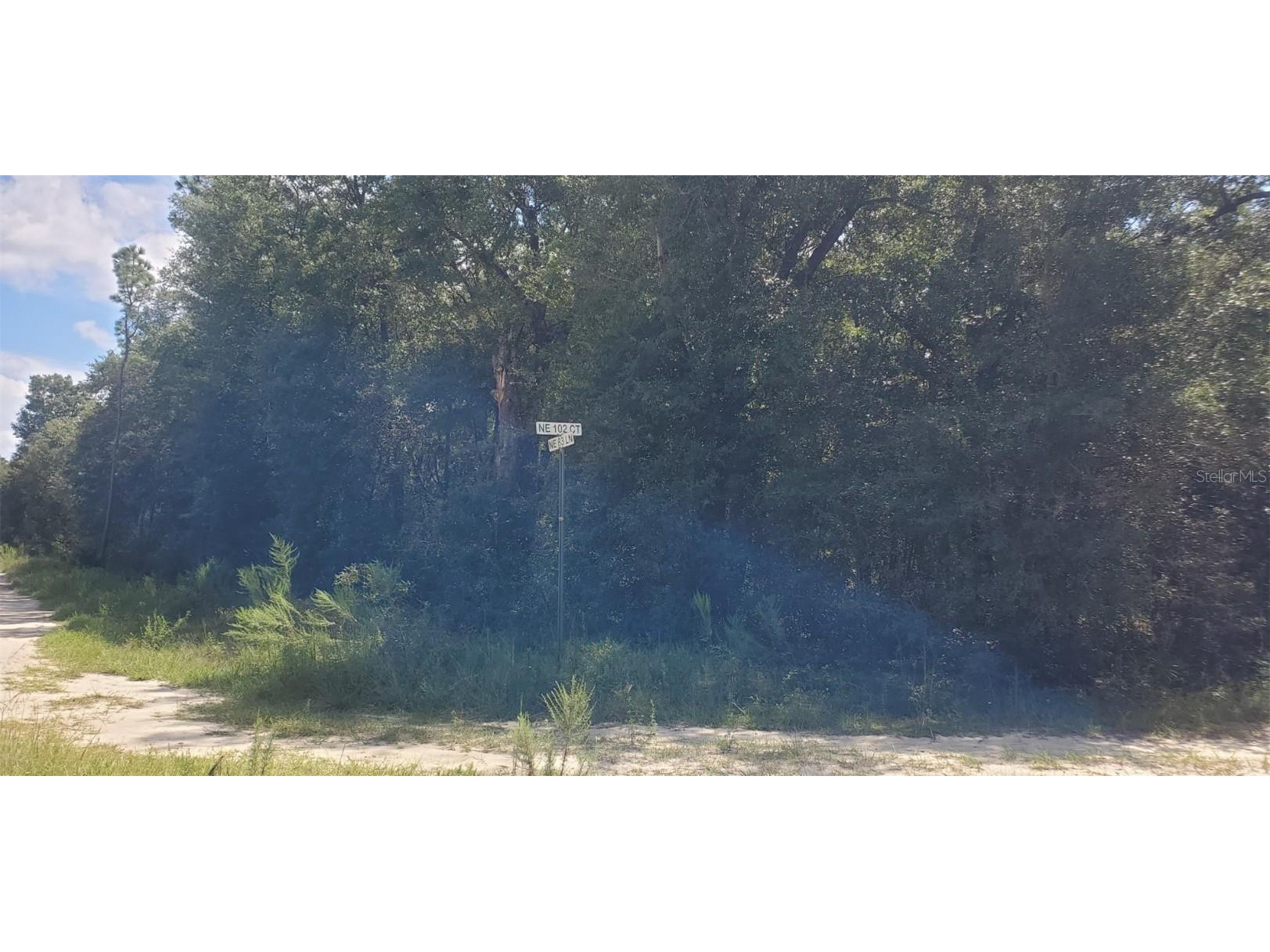 10290 NE 83rd Lane Bronson FL 32621 OM664761 image1