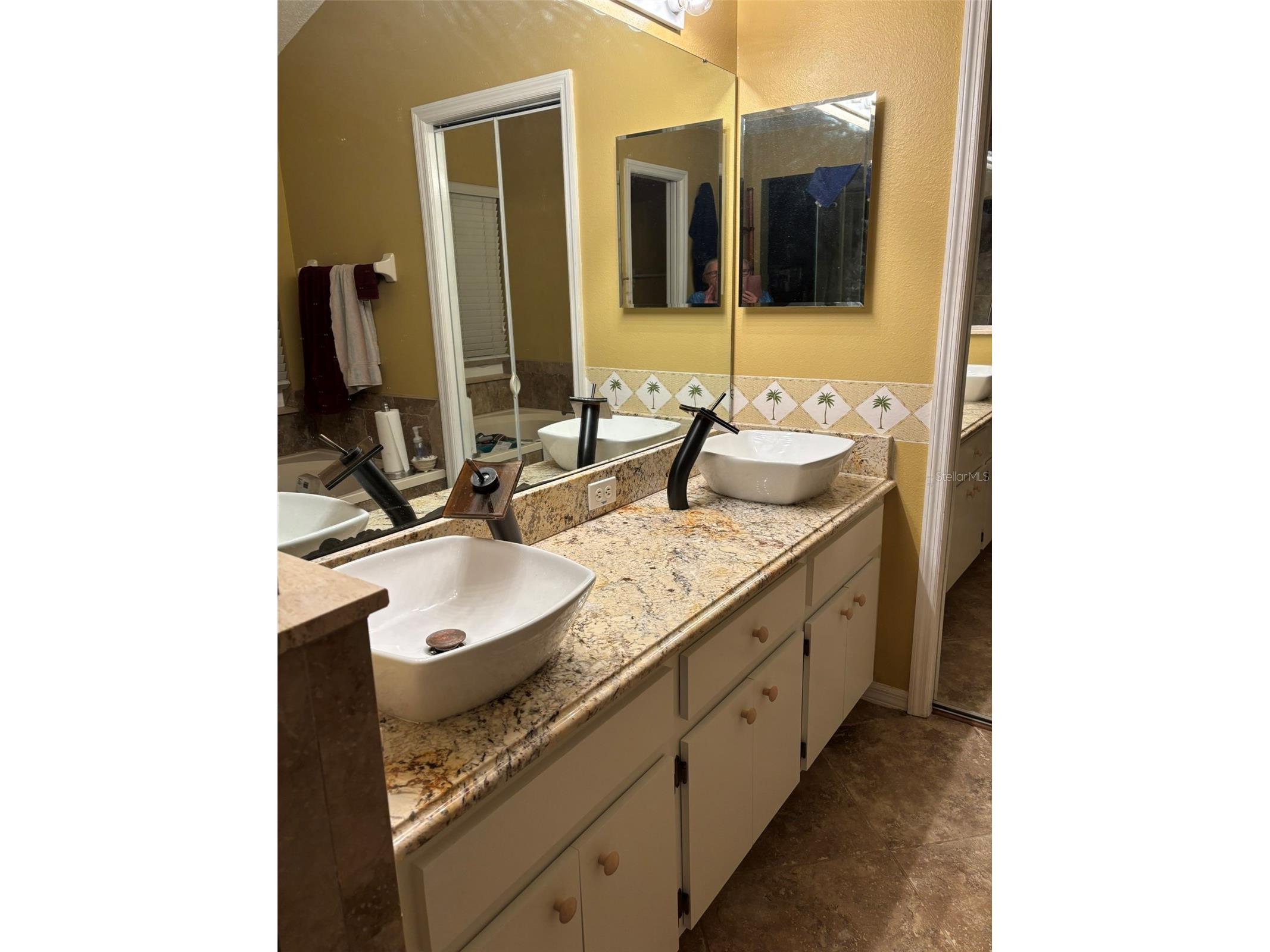 10290 Oasis Palm Drive Tampa FL 33615 TB8489051 image19