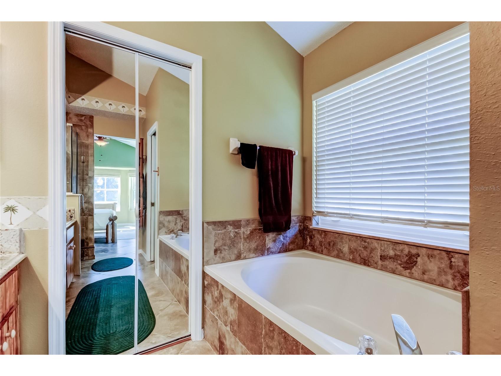 10290 Oasis Palm Drive Tampa FL 33615 TB8489051 image20