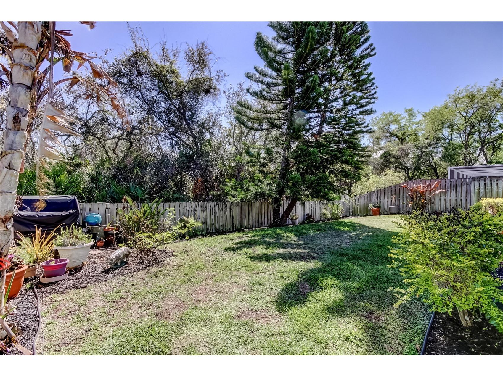 10290 Oasis Palm Drive Tampa FL 33615 TB8489051 image35