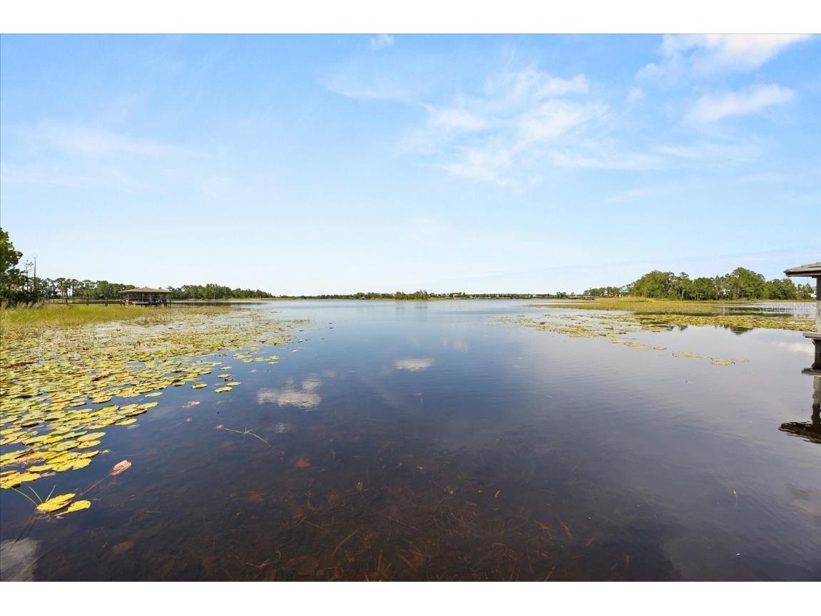 10291 Atwater Bay Drive Winter Garden FL 34787 - HICKORY NUT LAKE O6326819 image57