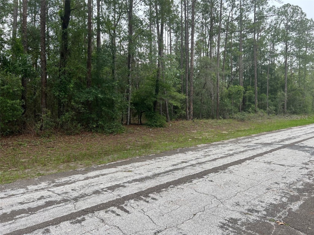 10291 N Empress Circle Citrus Springs FL 34434 OM660030 image1