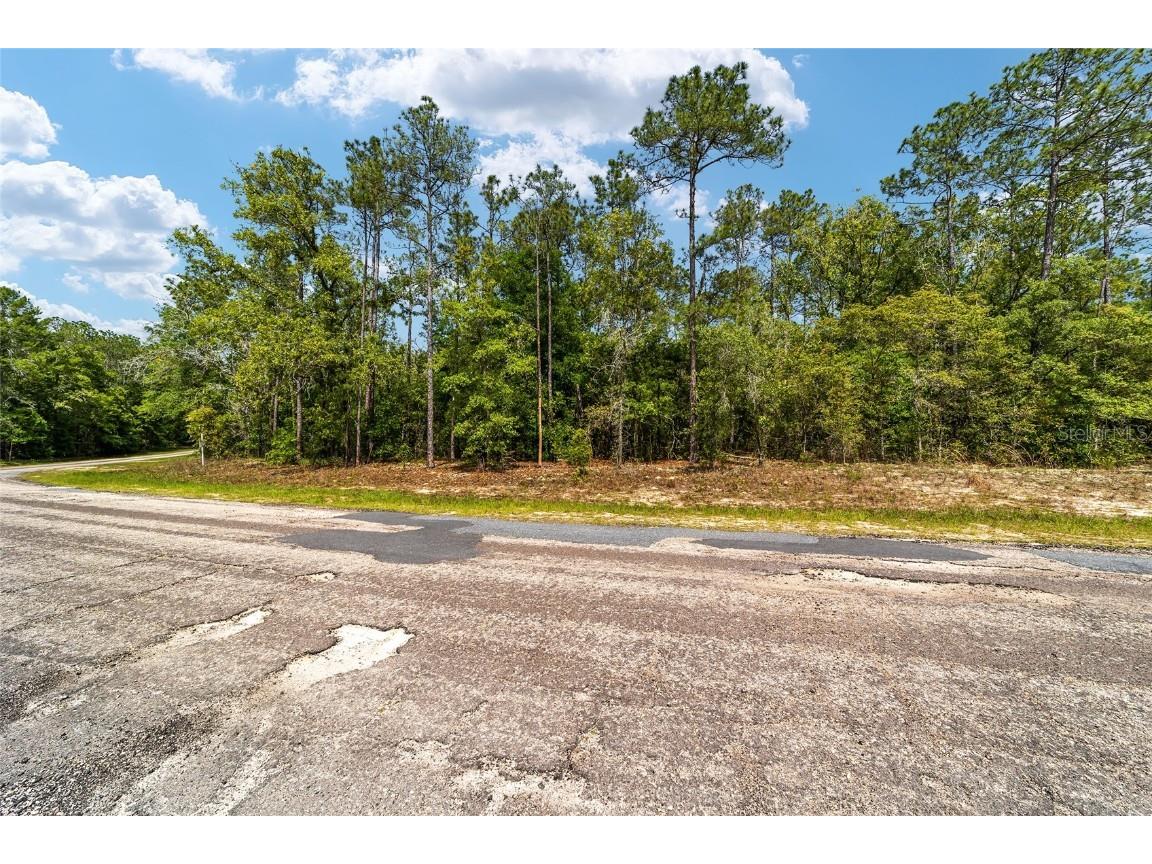 10291 N Sherman Drive Citrus Springs FL 34434 T3519244 image1