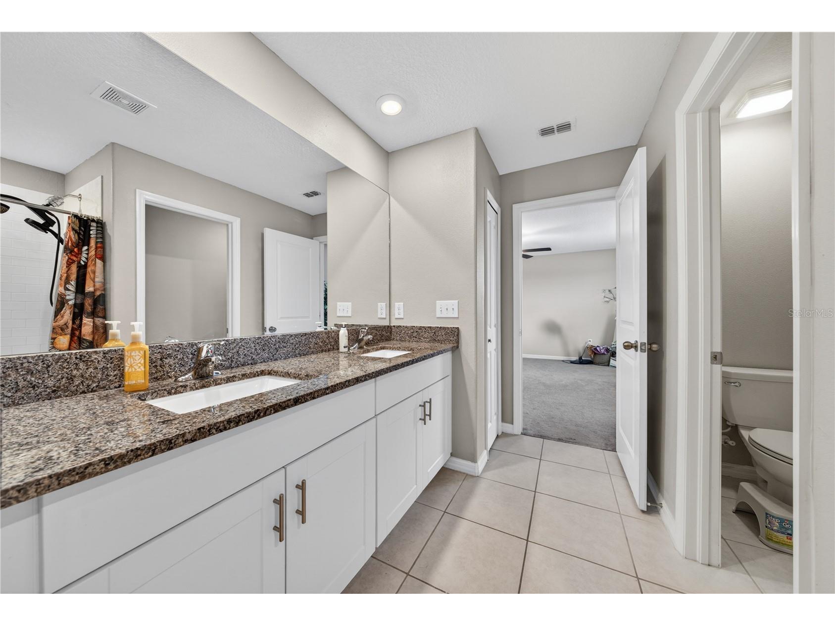 10291 Shady Preserve Drive Riverview FL 33578 TB8510528 image26