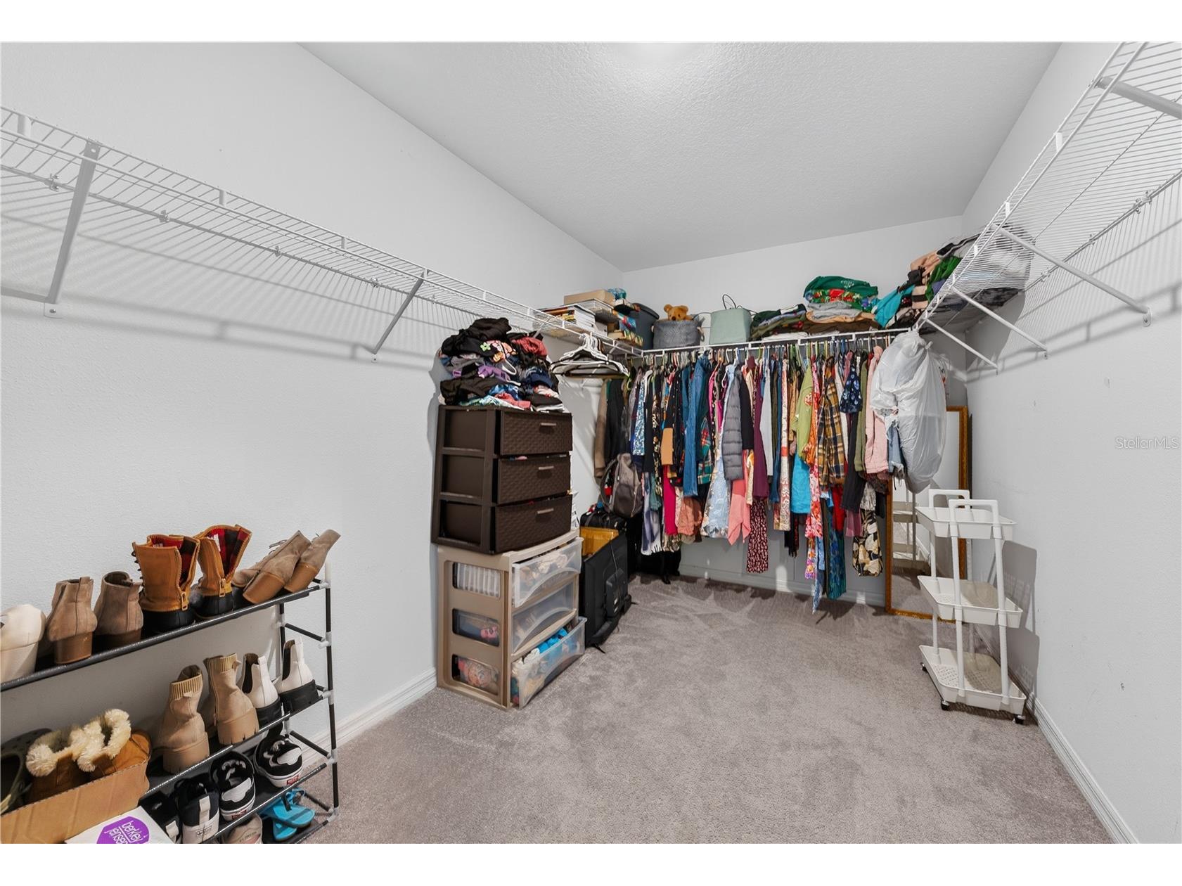 10291 Shady Preserve Drive Riverview FL 33578 TB8510528 image28