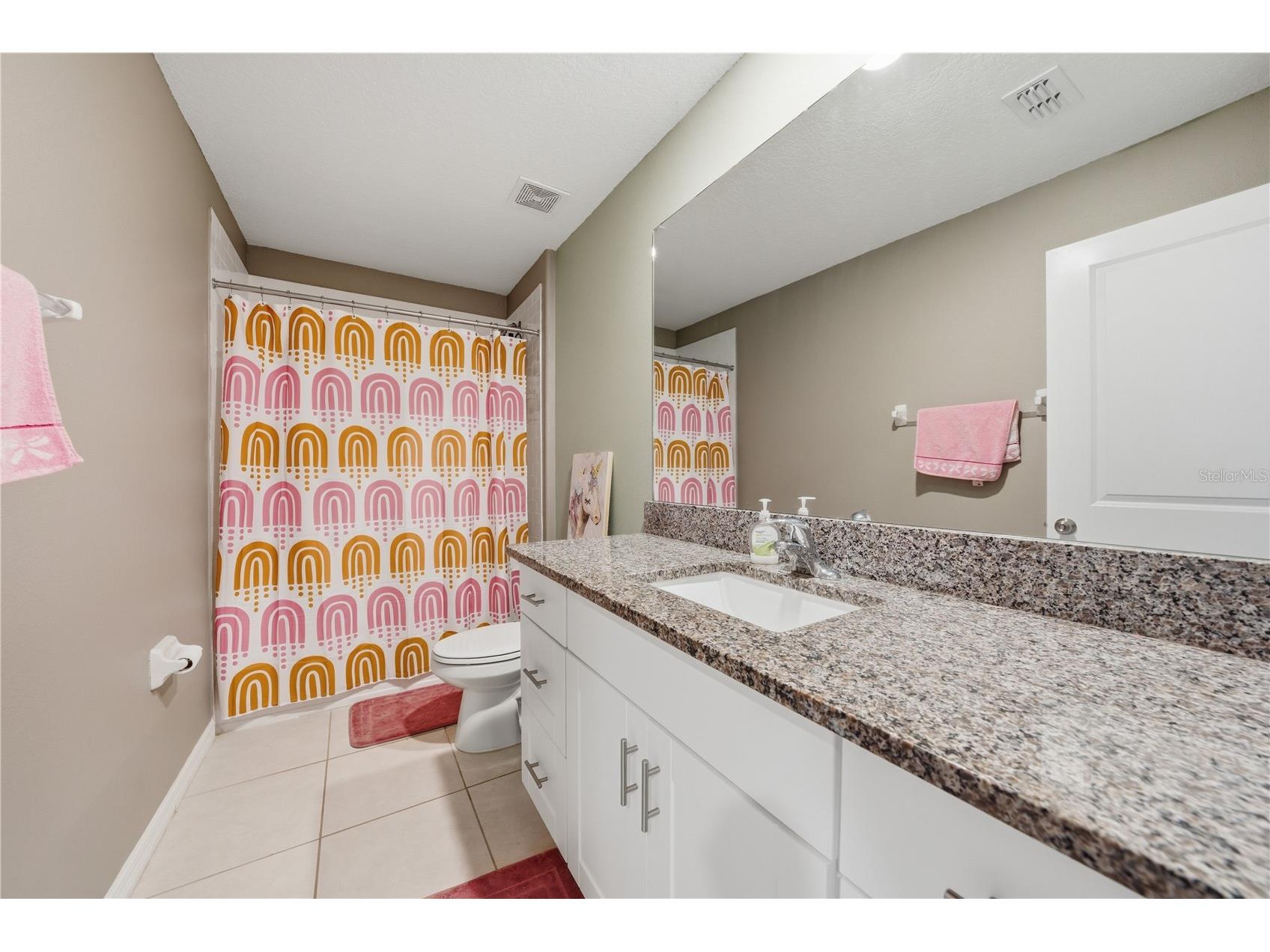 10291 Shady Preserve Drive Riverview FL 33578 TB8510528 image35