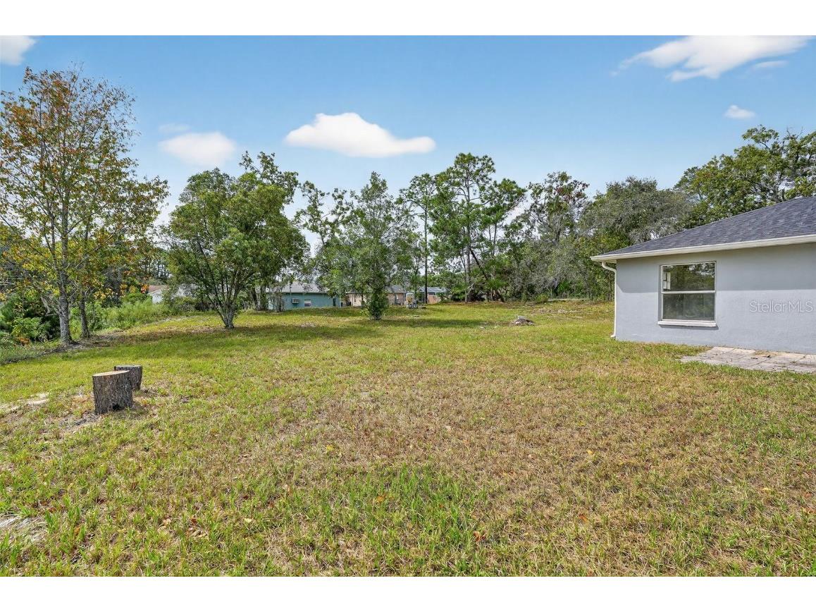 10294 Desert Sparrow Avenue Weeki Wachee FL 34613 W7879876 image33