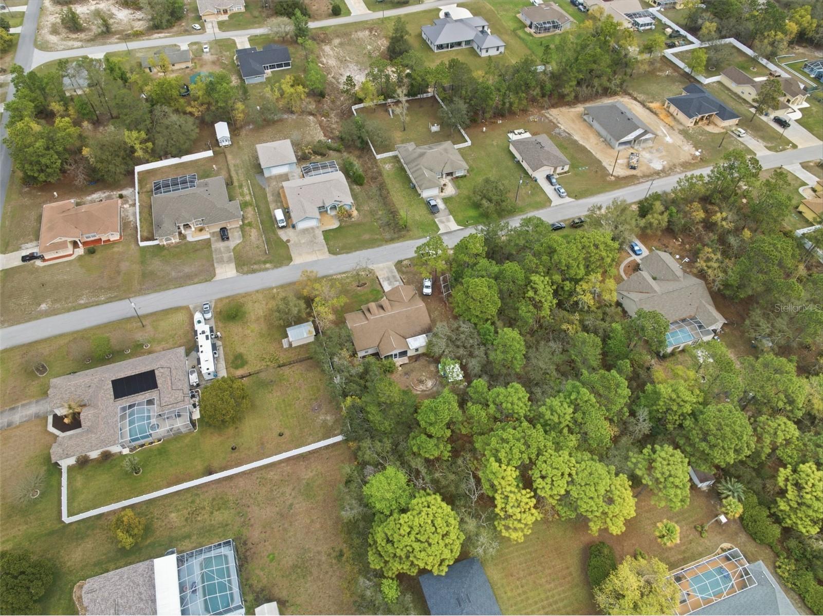 10294 Dotted Wren Avenue Weeki Wachee FL 34613 W7883992 image36