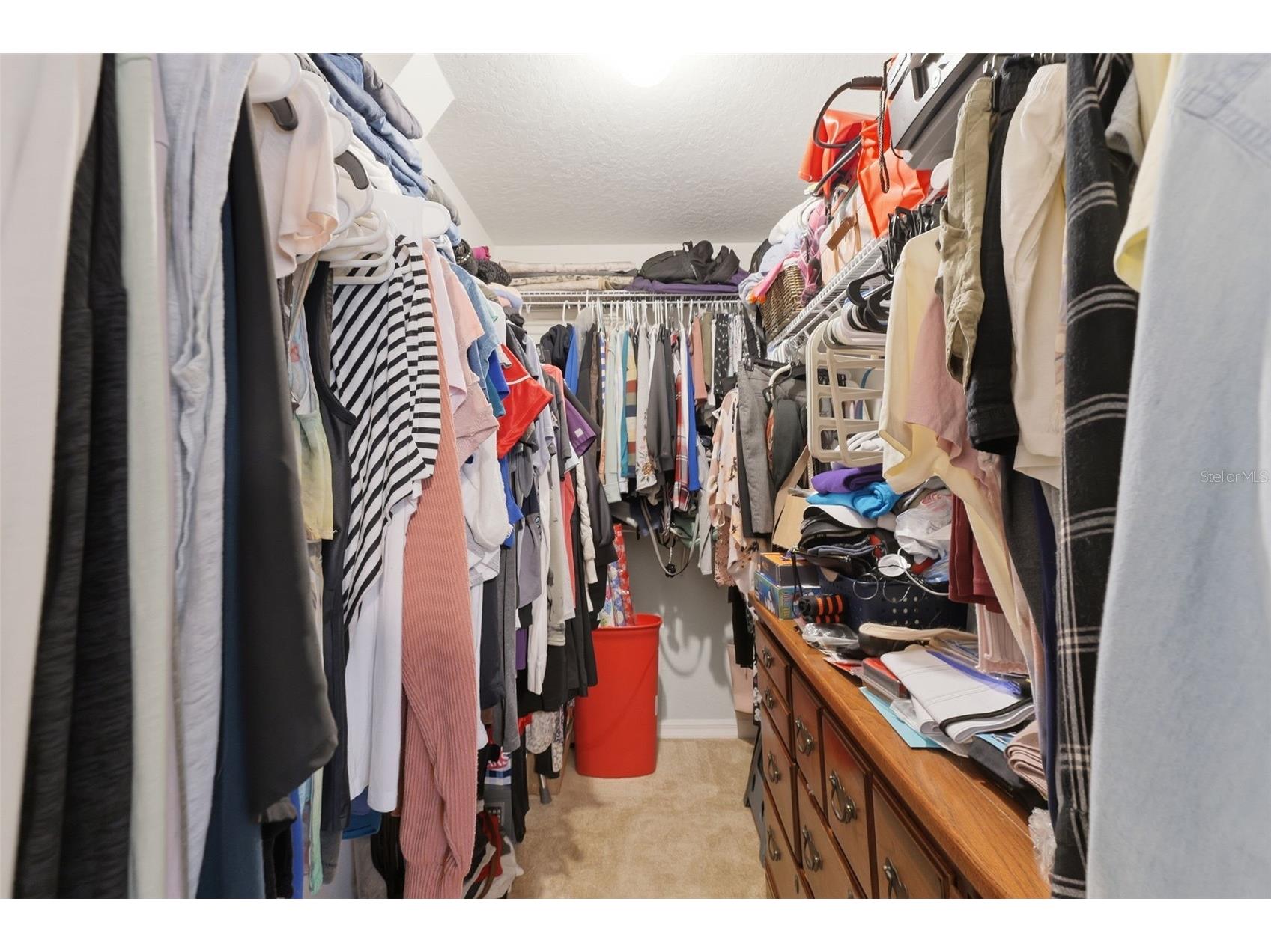 10294 Dotted Wren Avenue Weeki Wachee FL 34613 W7883992 image47