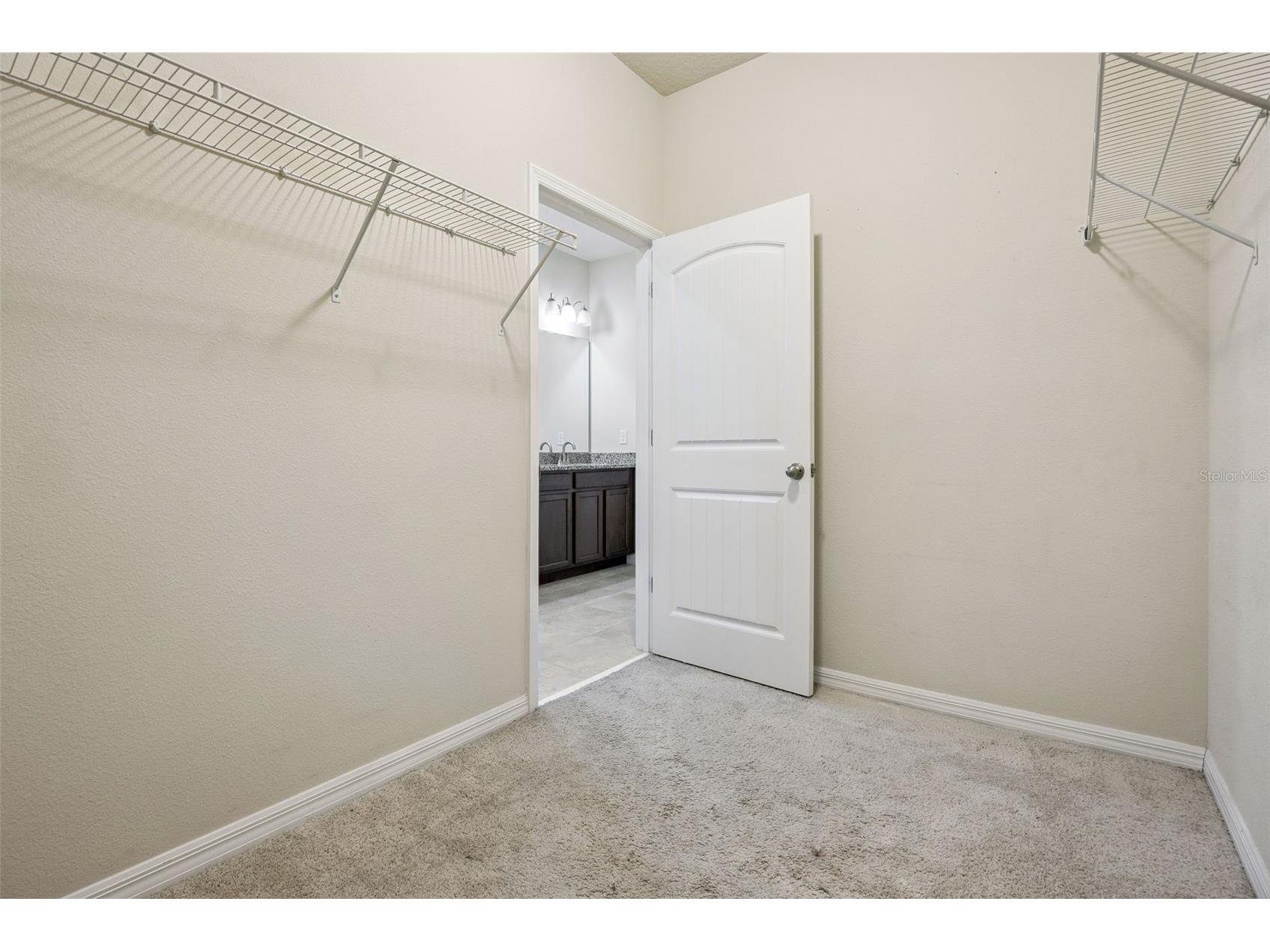 10294 Merrymeeting Bay Drive Winter Garden FL 34787 O6407798 image27