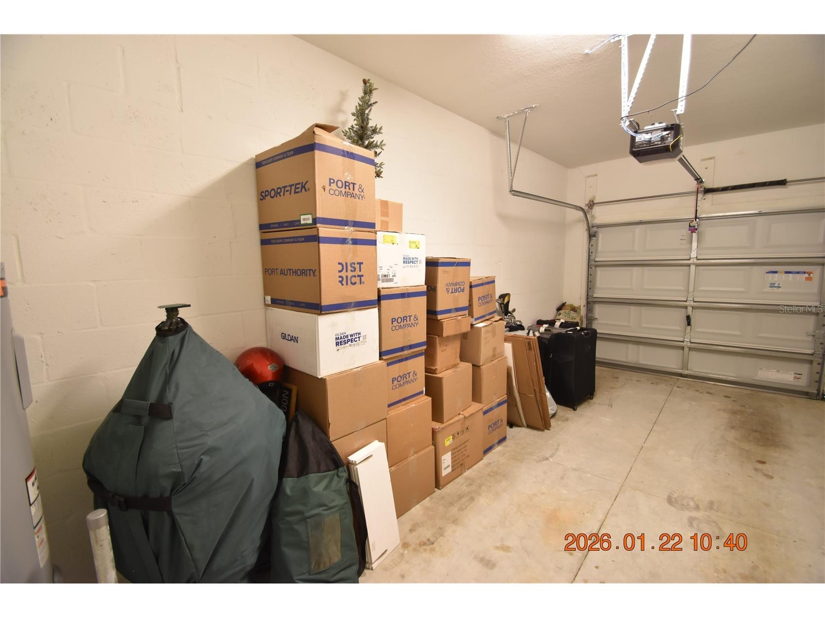 10296 Trumpet Honeysuckle Way San Antonio FL 33576 TB8469916 image10