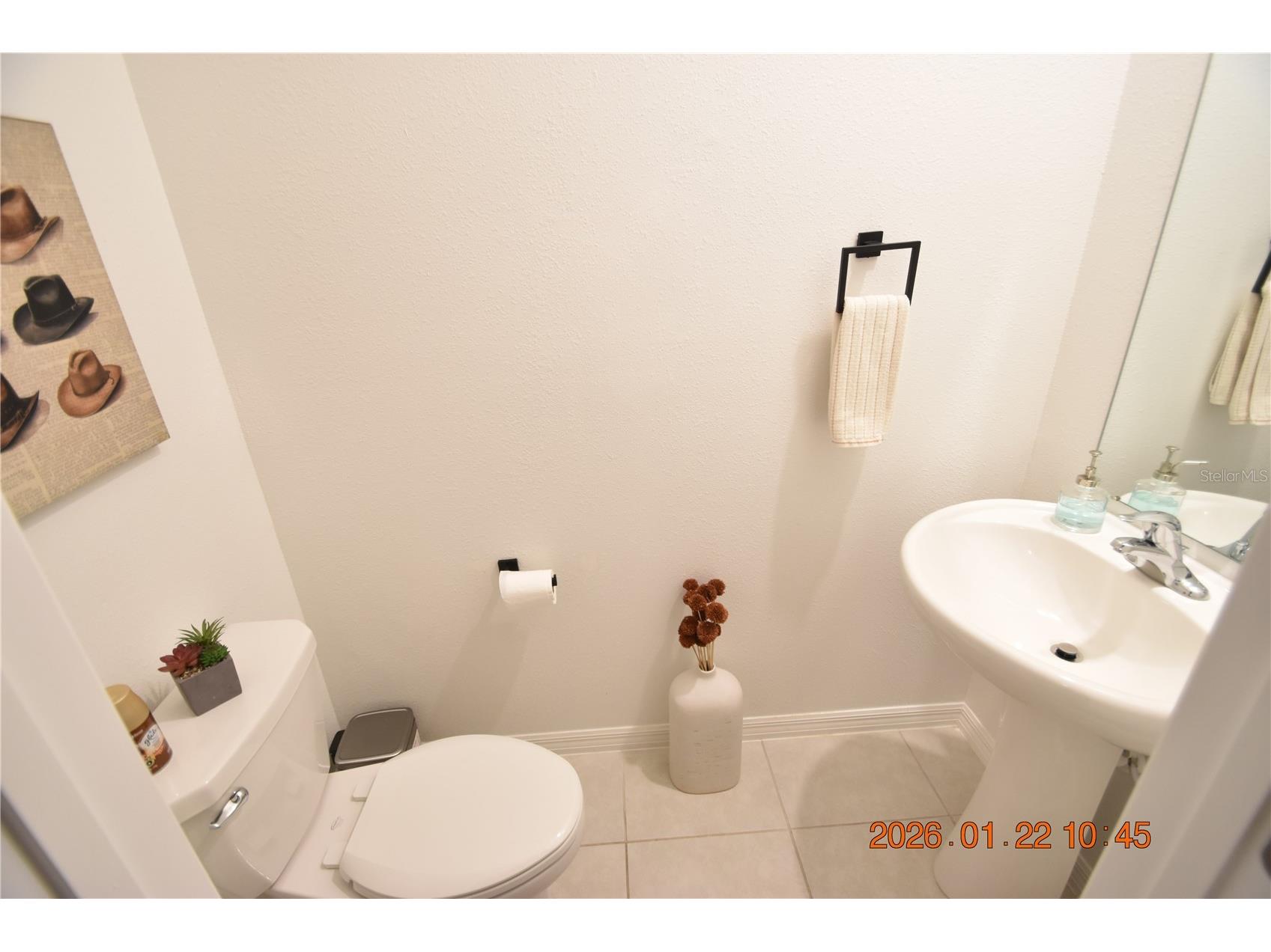 10296 Trumpet Honeysuckle Way San Antonio FL 33576 TB8469916 image19