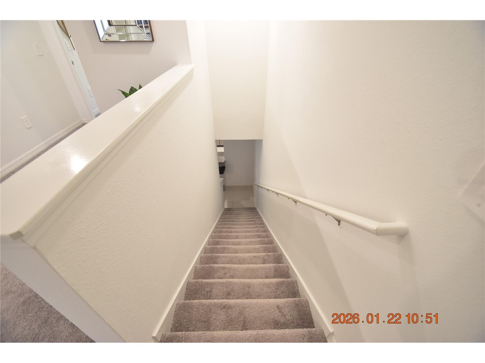 10296 Trumpet Honeysuckle Way San Antonio FL 33576 TB8469916 image29