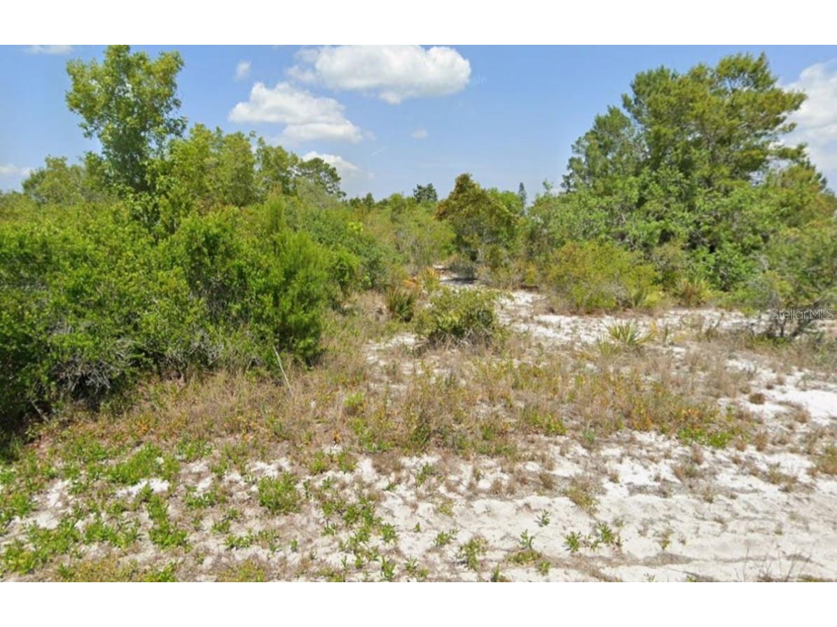 103-105 Vera Lane NW Lake Placid FL 33852 C7517384 image1