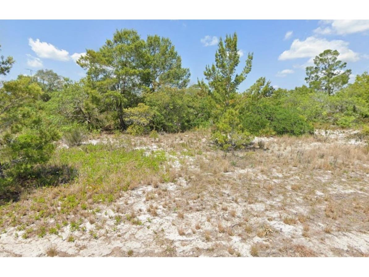 103-105 Vera Lane NW Lake Placid FL 33852 C7517384 image3