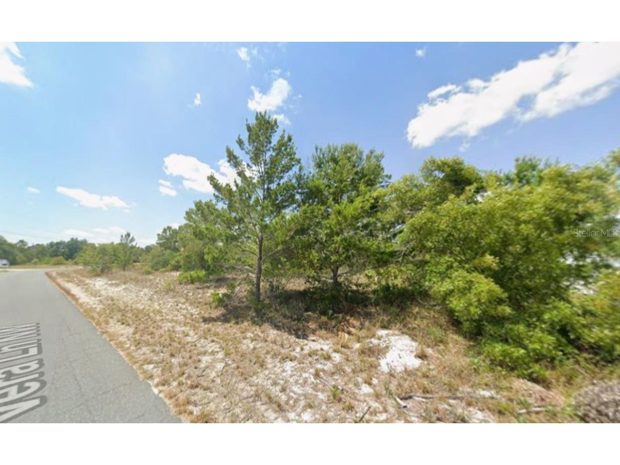 103-105 Vera Lane NW Lake Placid FL 33852 C7517384 image4