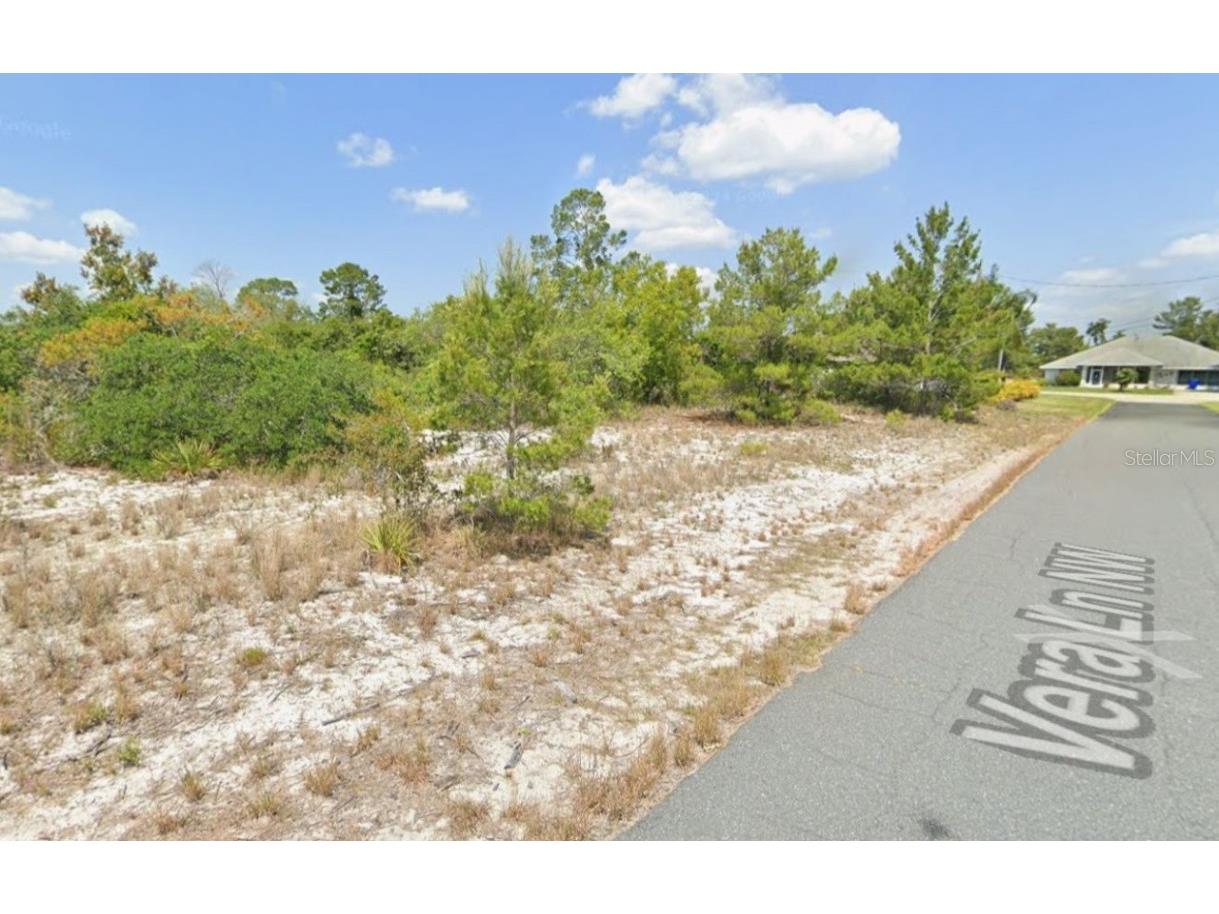 103-105 Vera Lane NW Lake Placid FL 33852 C7517384 image5