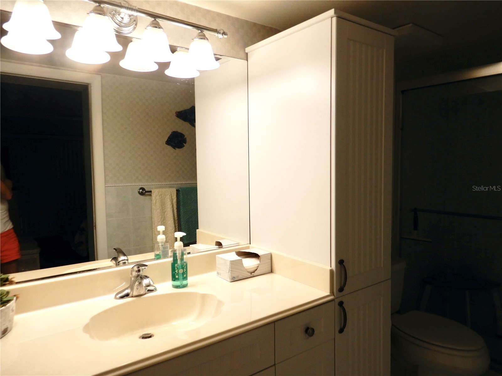 103 1st Street E #210 Tierra Verde FL 33715 - TAMPA BAY TB8525478 image4