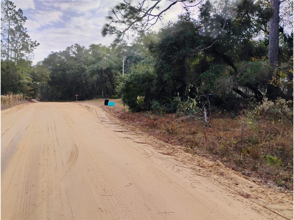 103 Antler Road Interlachen FL 32148 TB8424941 image1