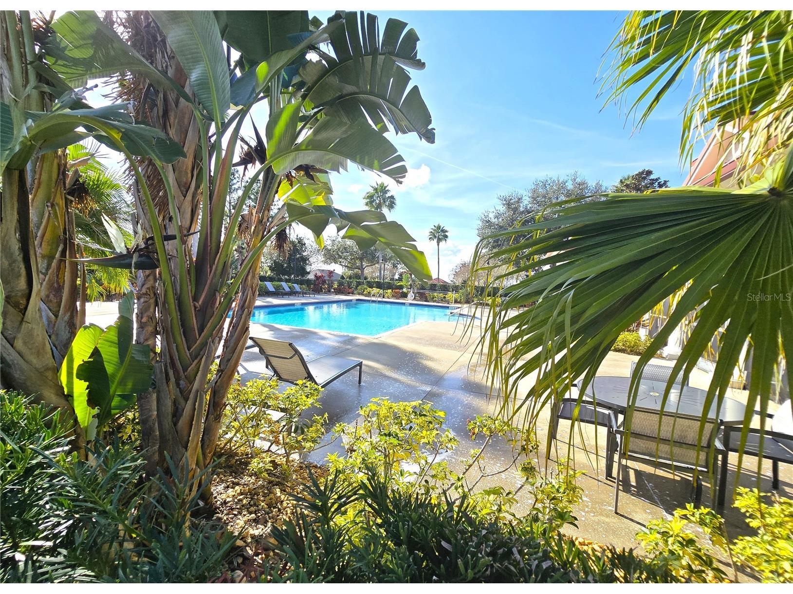 103 Blazing Star Avenue Lake Alfred FL 33850 - LAKE ALFRED L4958274 image12
