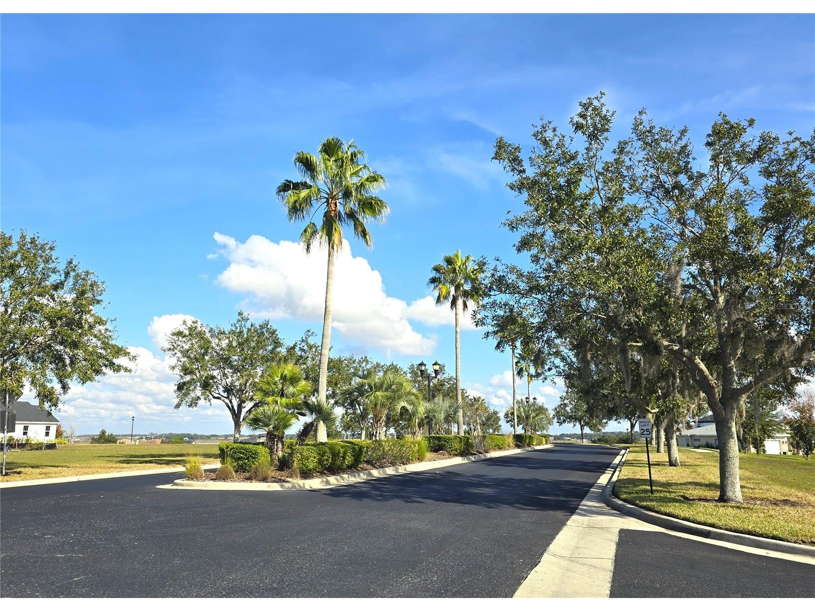 103 Blazing Star Avenue Lake Alfred FL 33850 - LAKE ALFRED L4958274 image4