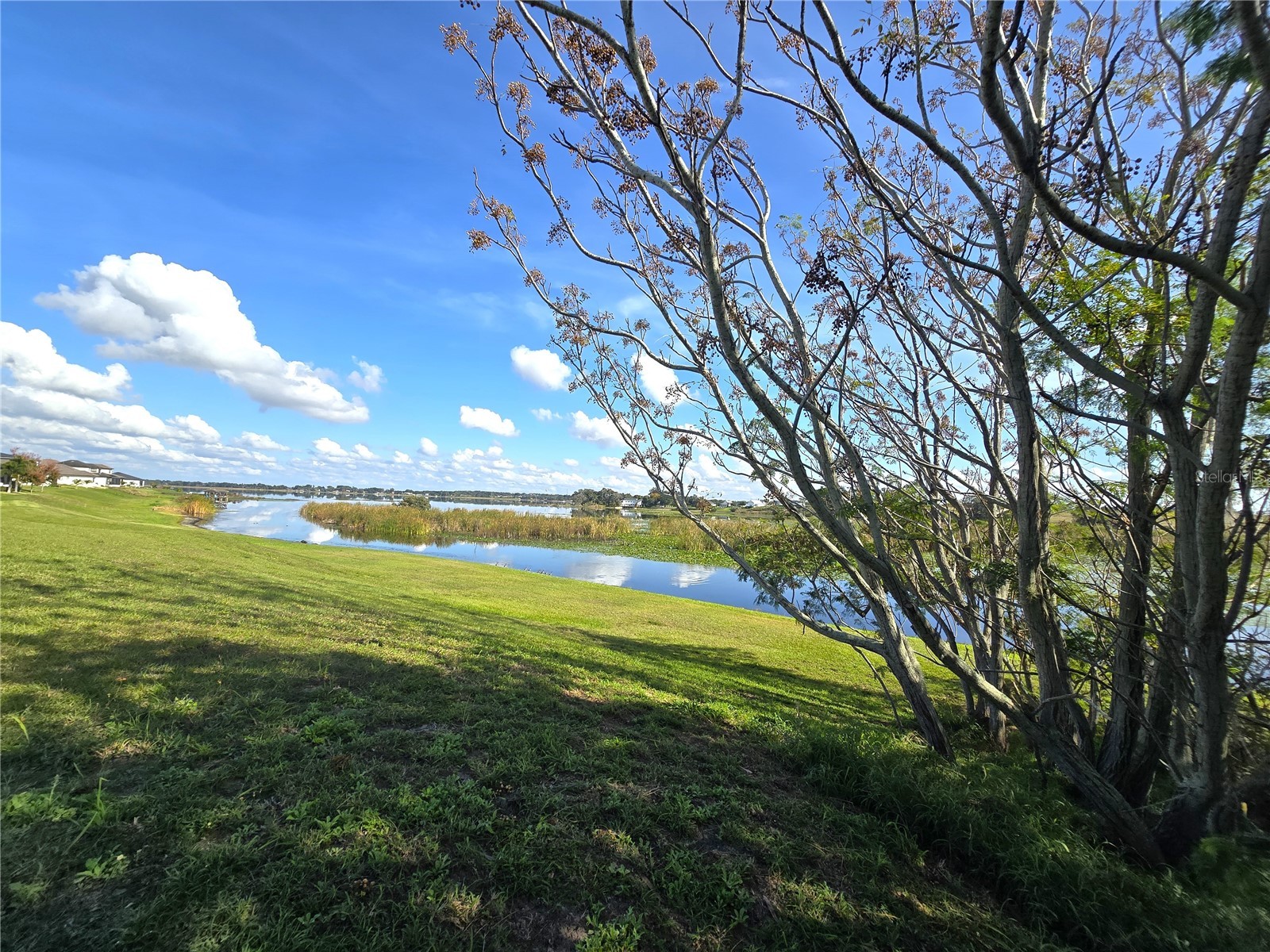 103 Blazing Star Avenue Lake Alfred FL 33850 - LAKE ALFRED L4958274 image8