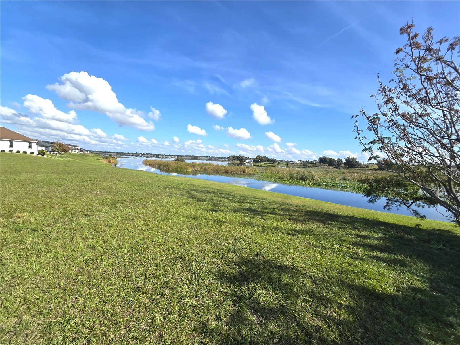 103 Blazing Star Avenue Lake Alfred FL 33850 - LAKE ALFRED L4958274 image9