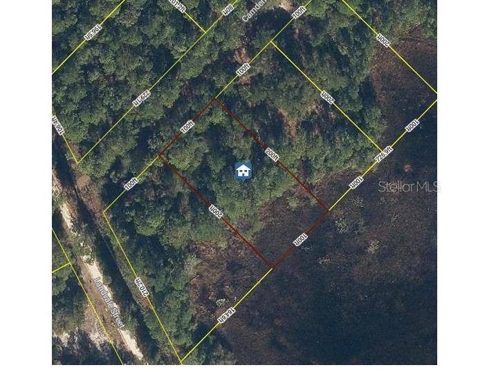 103 Brierly Street Georgetown FL 32139 O6406429 image1
