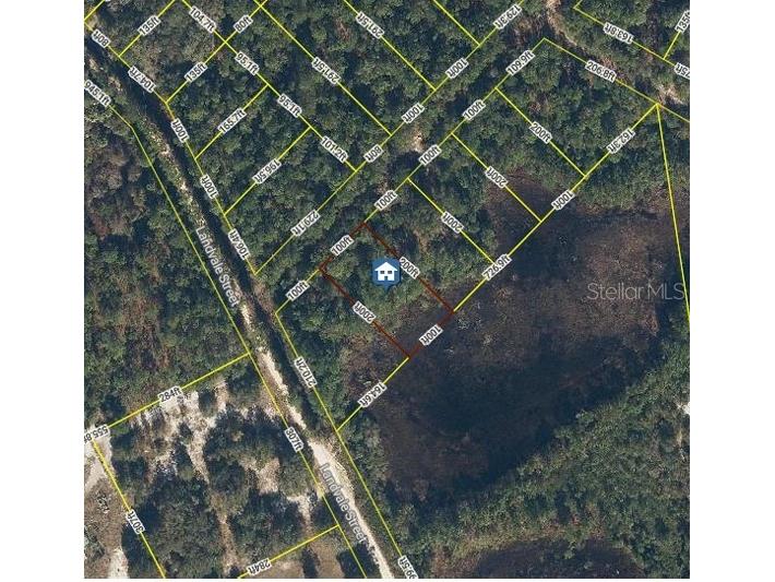 103 Brierly Street Georgetown FL 32139 O6406429 image2