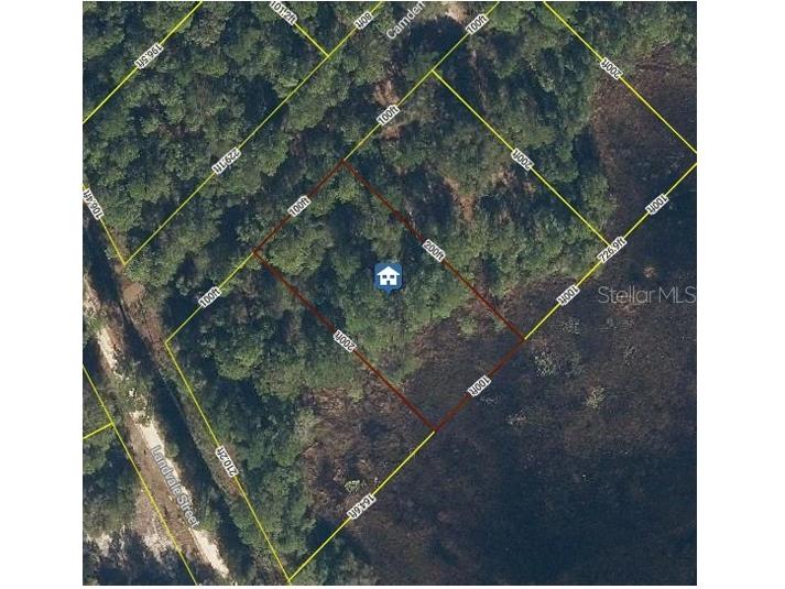 103 Brierly Street Georgetown FL 32139 O6406429 image5