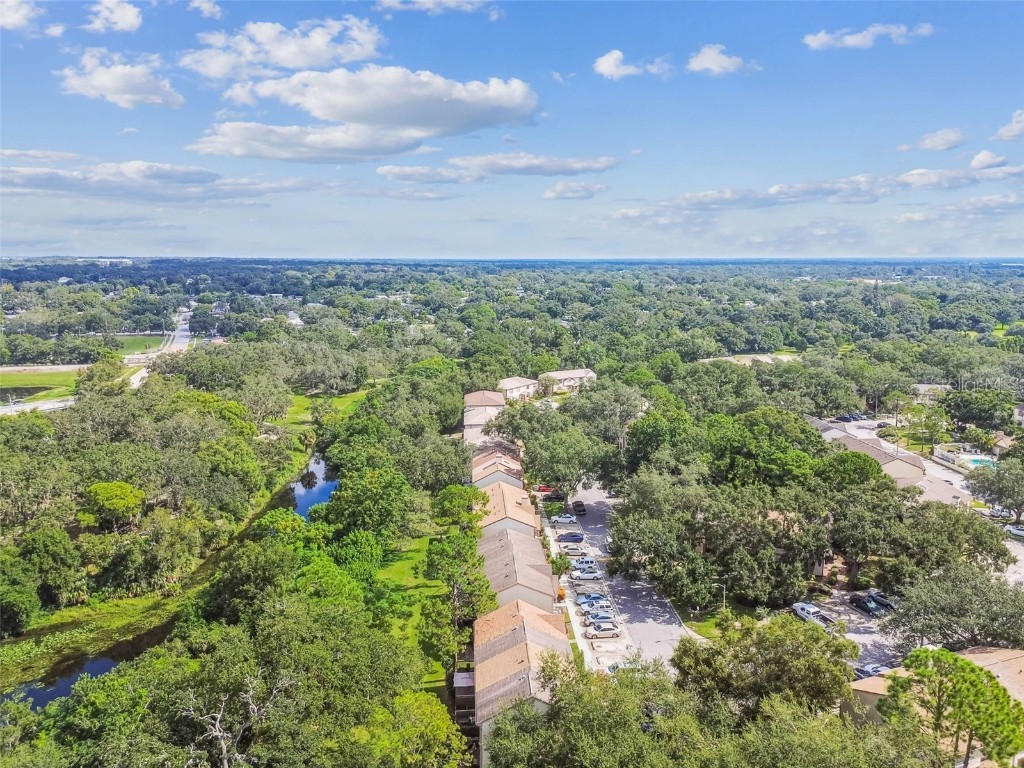 103 Brigadoon Drive Clearwater FL 33759 TB8421702 image20