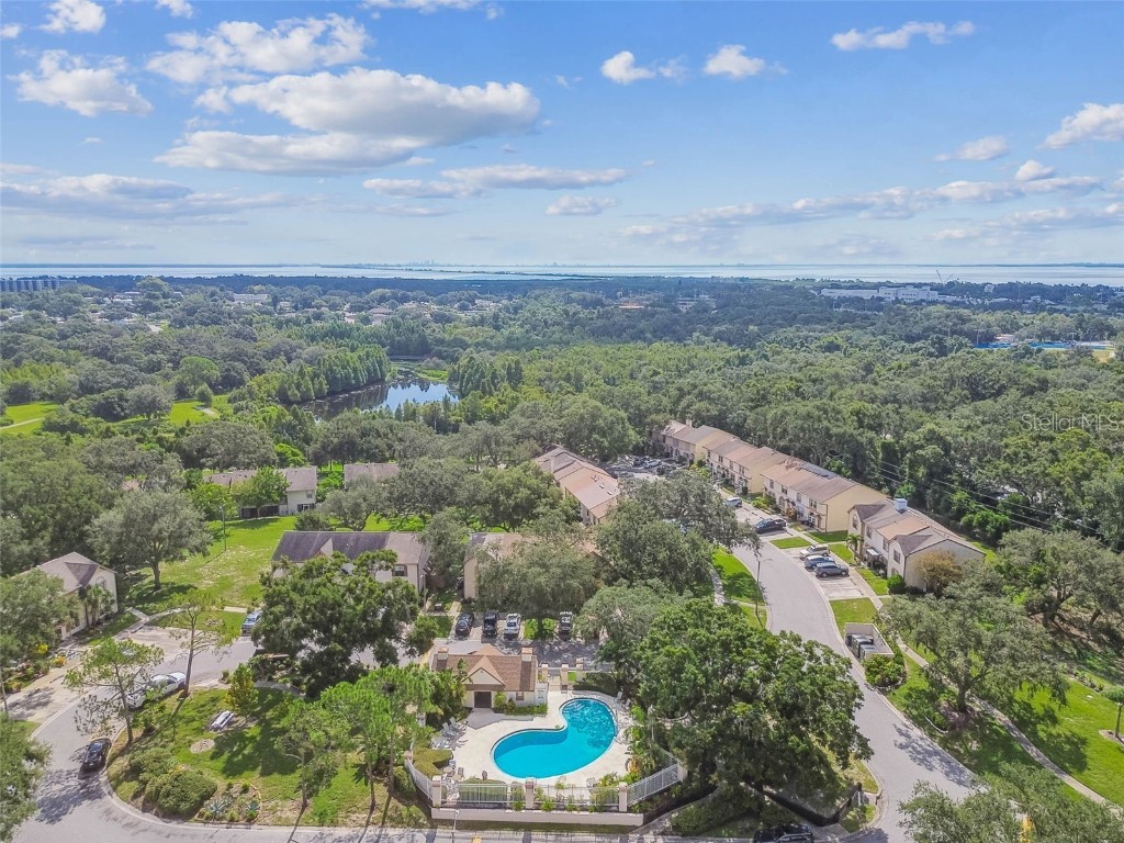 103 Brigadoon Drive Clearwater FL 33759 TB8421702 image21