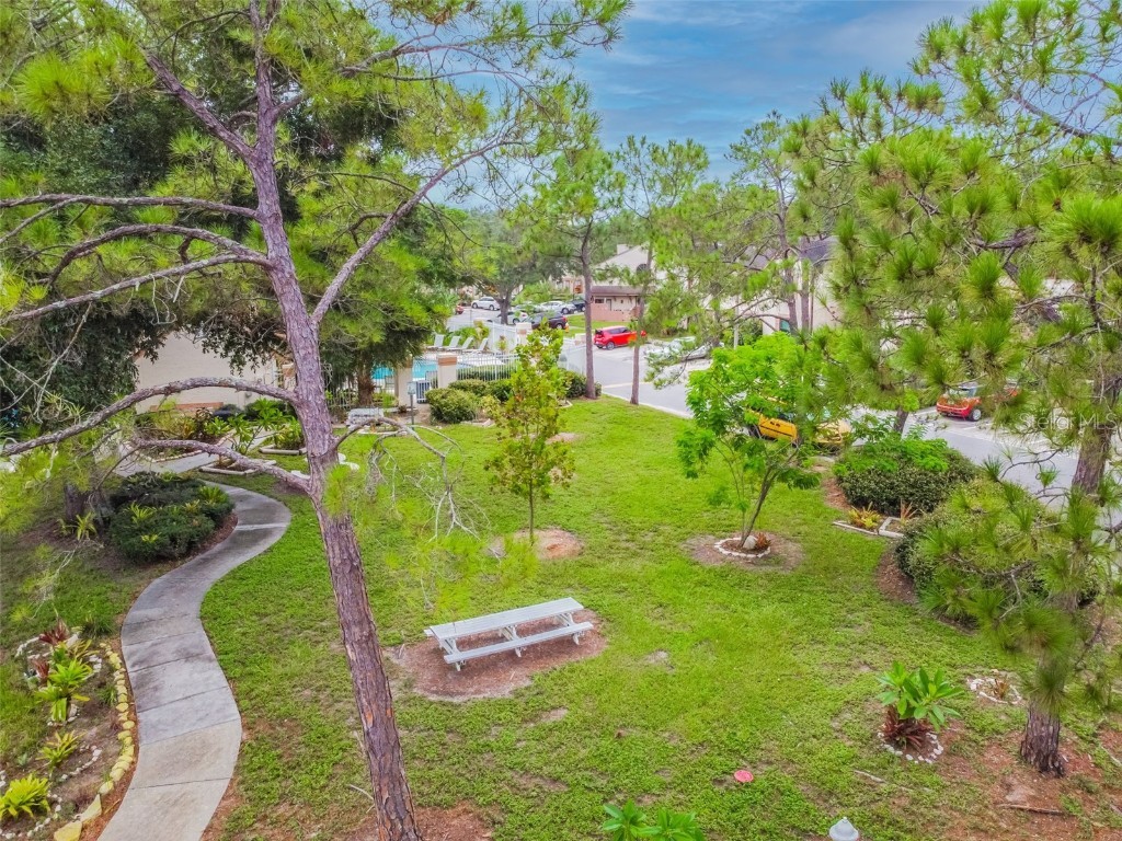 103 Brigadoon Drive Clearwater FL 33759 TB8421702 image23