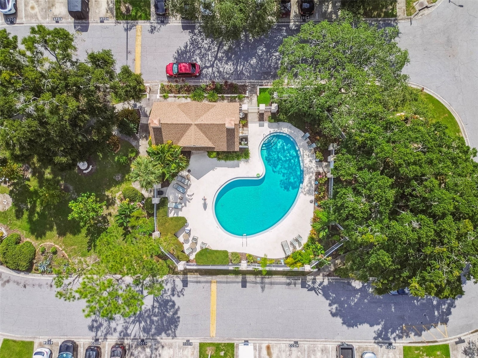 103 Brigadoon Drive Clearwater FL 33759 TB8490240 image22