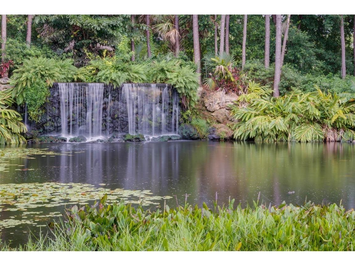 103 Camino Real Boulevard Howey In The Hills FL 34737 G5104836 image32