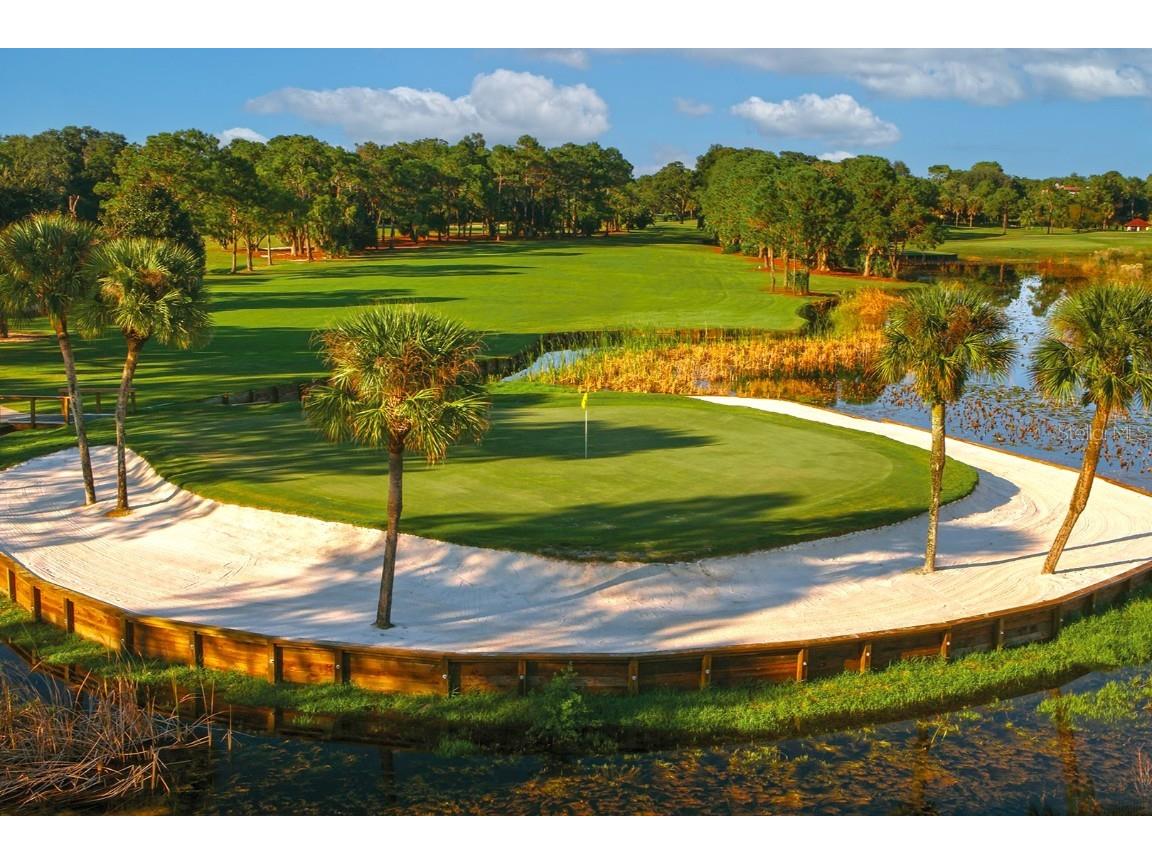 103 Camino Real Boulevard Howey In The Hills FL 34737 G5104836 image40