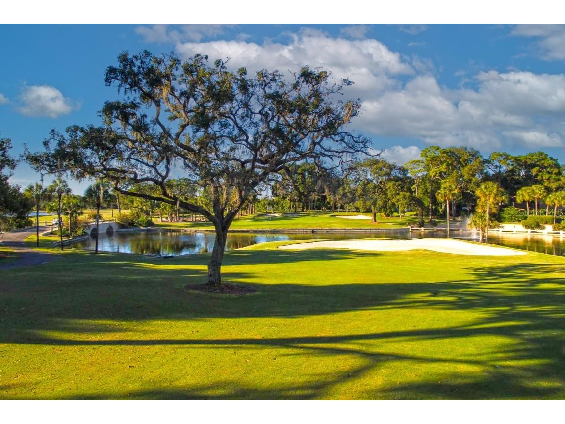 103 Camino Real Boulevard Howey In The Hills FL 34737 G5104836 image41